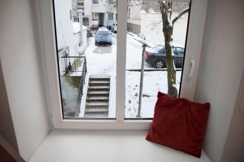 Great Apartment Near Town Hall VNO Exterior foto